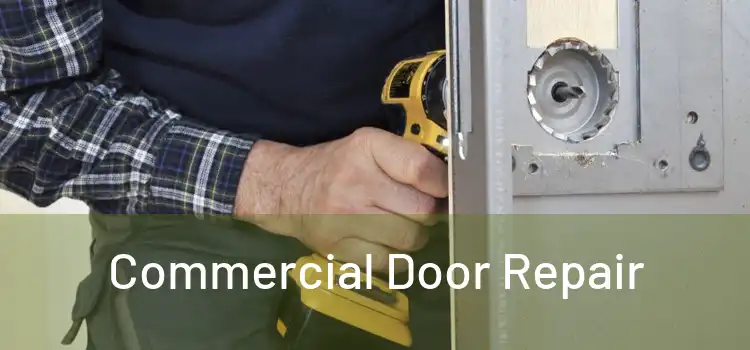 Commercial Door Repair
